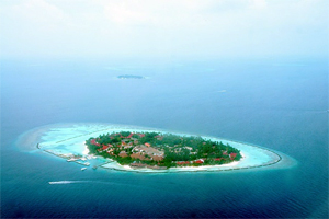 Maldive