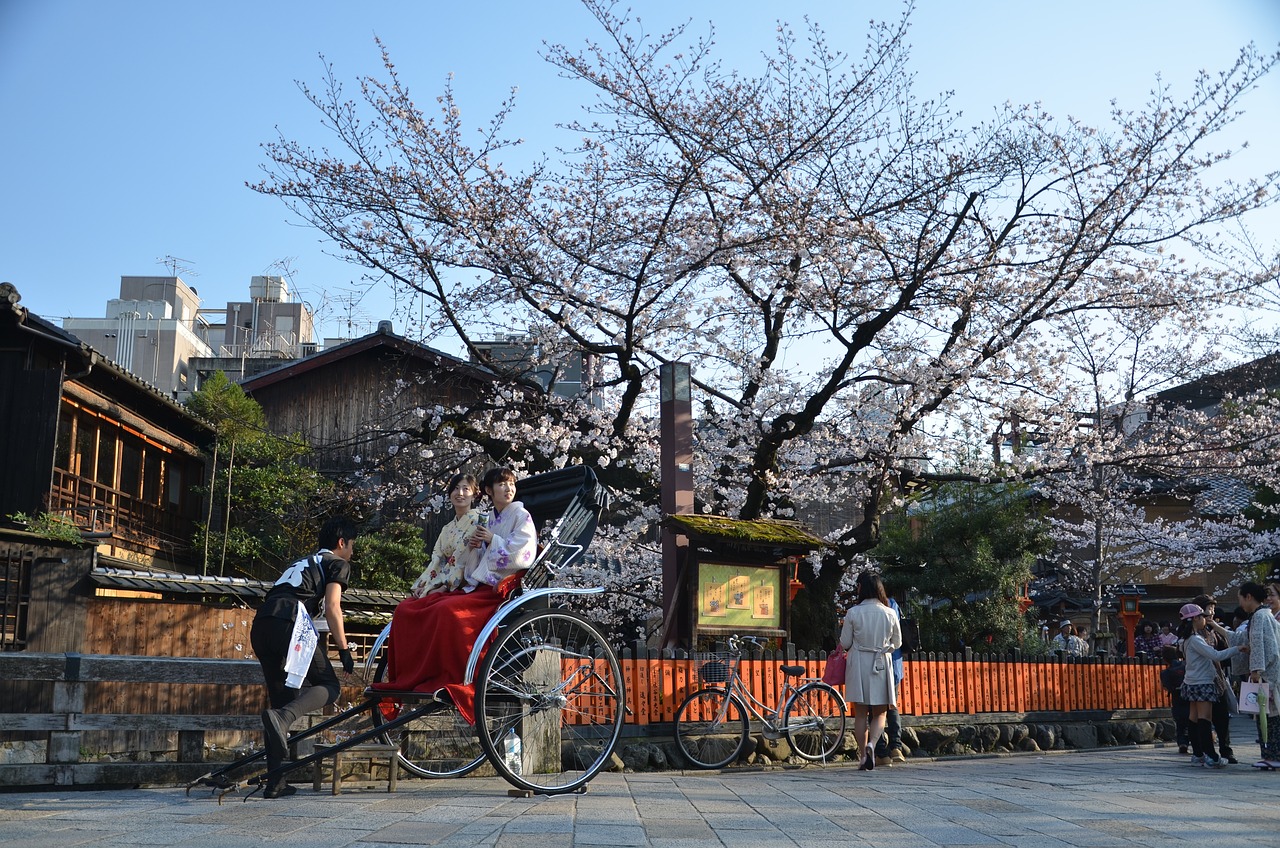 Sakura